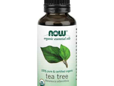 Tea Tree Oil, Organic Essential Oil 1 oz, NOW Foods Online now