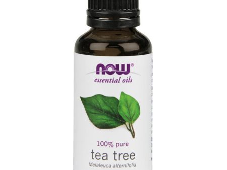 Tea Tree Oil, 1 oz, NOW Foods Online now