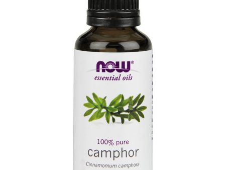 Camphor Oil, Pure Essential Oil 1 oz, NOW Foods Online Hot Sale