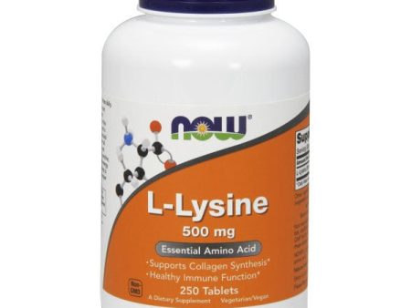 L-Lysine 500mg Vegetarian 250 Tabs, NOW Foods Fashion