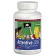 Attentive Child Tabs 120 tablets from Source Naturals Sale