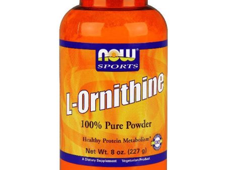 L- Ornithine HCl Powder Vegetarian 8 oz, NOW Foods For Sale