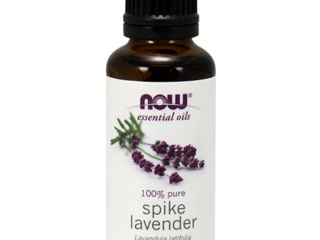 Spike Lavender, Essential Oil 100% Pure, 1 oz, NOW Foods Online Hot Sale