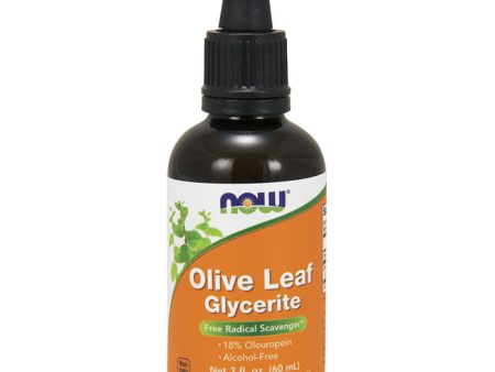 Olive Leaf Glycerite Liquid 18%, 2 oz, NOW Foods Fashion