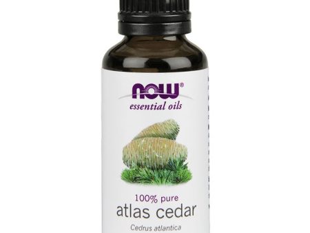 Atlas Cedar Oil, Essential Oil 1 oz, NOW Foods Online now