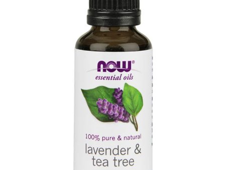 Lavender Tea Tree Oil, 1 oz, NOW Foods Online now