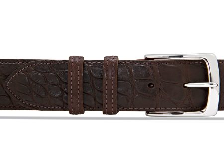 Belt in Matte Brown Alligator Hot on Sale