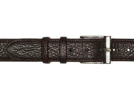 Belt in Brown Shark Online now