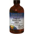 Loquat Respiratory Syrup 4 oz, Planetary Herbals Fashion