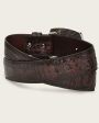 Brown engraved ultra exotic Belt Cheap