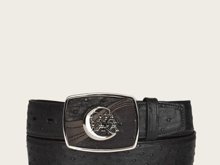 Black engraved ostrich Belt Discount