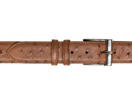 Belt in Brown Ostrich Sale