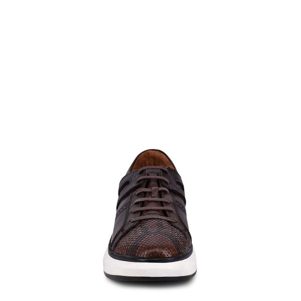 Hand-painted python chocolate leather sneakers Online Hot Sale