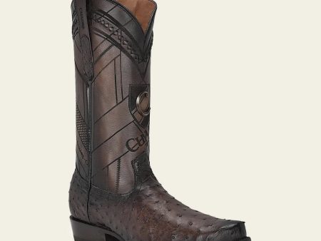 Western engraved brown ostrich boot For Discount