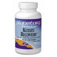 Kudzu Recovery 60 tabs, Planetary Herbals For Cheap