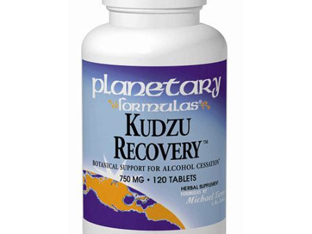 Kudzu Recovery 60 tabs, Planetary Herbals For Cheap