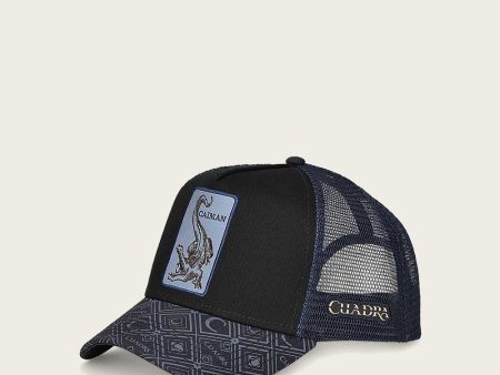 Blue alligator patch cap Supply