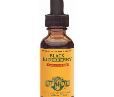 Black Elderberry Glycerite Liquid, 1 oz, Herb Pharm Supply