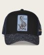 Blue alligator patch cap Supply