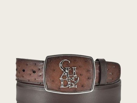 Brown western exotic Belt Hot on Sale