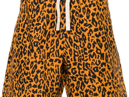 Leopard-Print Poplin Shorts Fashion